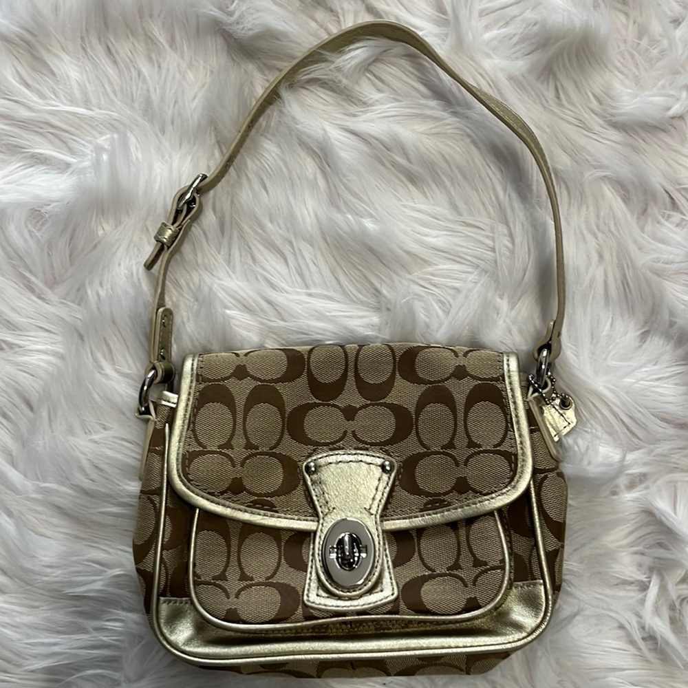 Small coach bag